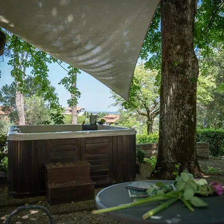 Villa Licia, Val D'Orcia, Private Pool, Jacuzzi, Wifi Chiusi
